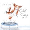 Life in the Old Dog Yet - Case of 5 - A009