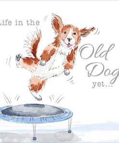 Life in the Old Dog Yet - Case of 5 - A009