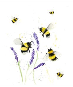 Bees and Lavender - Case of 5 - A010