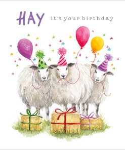 Hay! It's Your Birthday - Case of 5 - A023