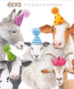 Herd It's Your Birthday - Case of 5 - A026