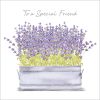 Lavender Special Friend - Case of 5 - A033