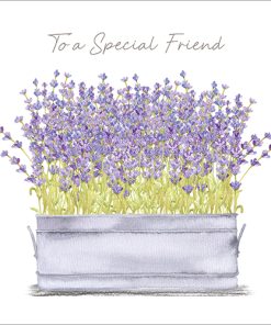 Lavender Special Friend - Case of 5 - A033