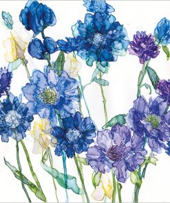Cornflowers and Scabious - Case of 5 - A042