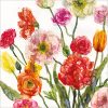 Ranunculus and Poppies - Case of 5 - A043
