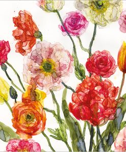 Ranunculus and Poppies - Case of 5 - A043