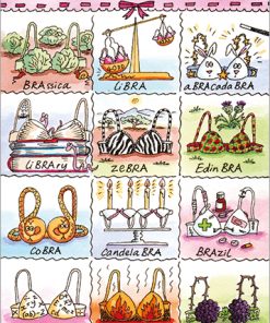 Dictionary of Bras - Case of 5 - B023