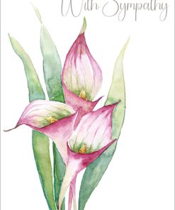 Calla Lily - Case of 3 - B029