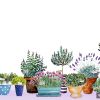Herb Garden Notecards - Case of 3 - NC002