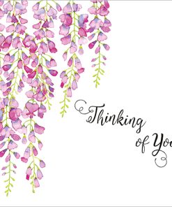 thinking of you wisteria case of 5 a030