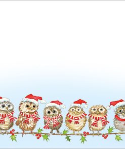 Christmas Owlets Notecards - Case of 3 - XNC01