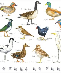 Water Birds - A067