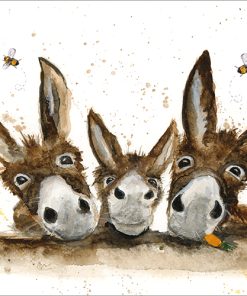 The Three Amigos - B034