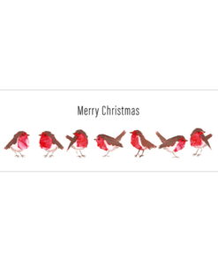 merry christmas robins xcb02