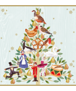 merry christmas robins xcb02