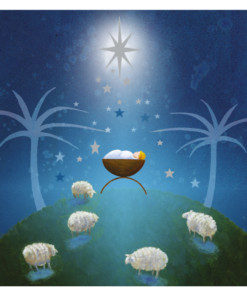 merry christmas robins xcb02