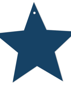 blue star gift tags gt02