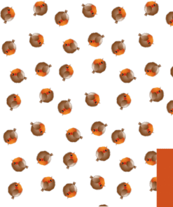 robins / red gift wrap case of 5 xgw02