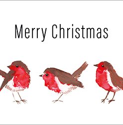 Merry Christmas Robins - XCB02
