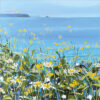 a sunny june case of 5 a074