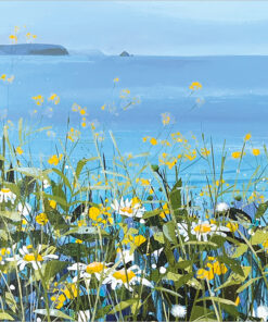 a sunny june case of 5 a074