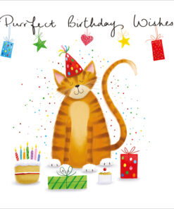 kingfisher birthday case of 5 a079