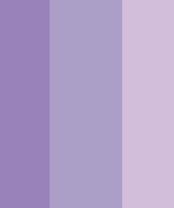lavender fields tissue pack case of 1 ts13