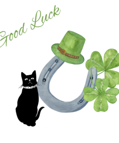 good luck case of 3 a095