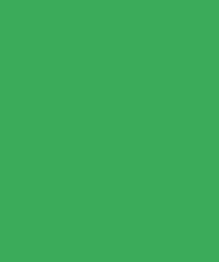 green tissue paper case of 1 ts18