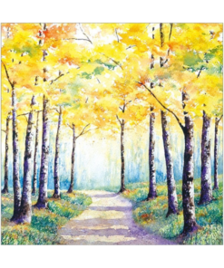 dappled woodland light greeting card case of 5 a102